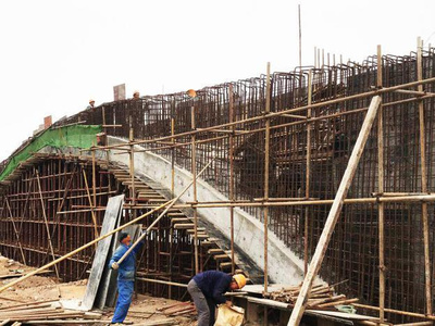 東湖綠道二期湖澤道五橋主體落成，再添城市生態(tài)新廊道